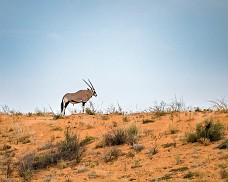 Namibia 2023