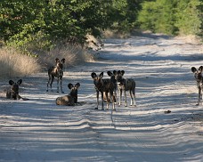 Namibia-Botswana 2009