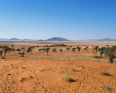 Reisebericht Namibia 2023