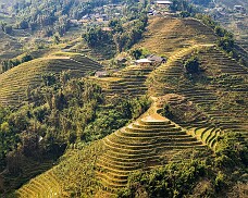 Vietnam 2025